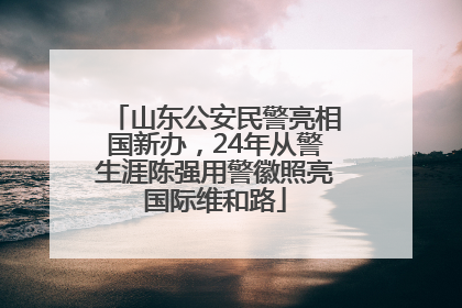 山东公安民警亮相国新办，24年从警生涯陈强用警徽照亮国际维和路