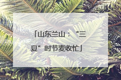 山东兰山：“三夏”时节麦收忙