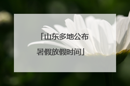 山东多地公布暑假放假时间