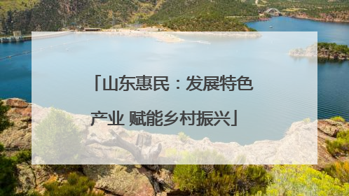 山东惠民：发展特色产业 赋能乡村振兴