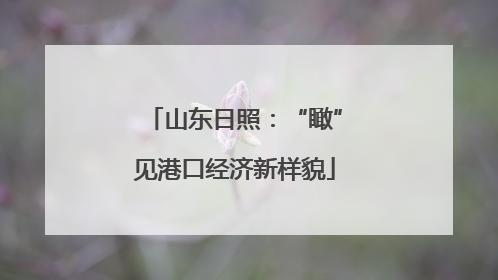 山东日照：“瞰”见港口经济新样貌