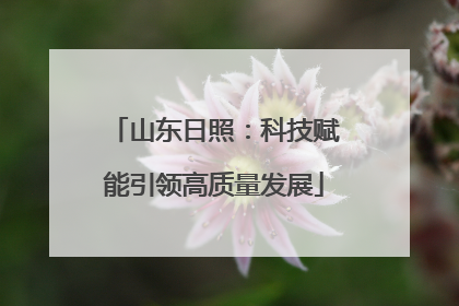 山东日照：科技赋能引领高质量发展