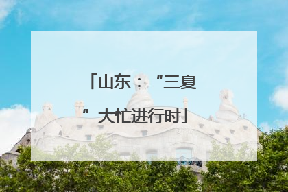 山东：“三夏”大忙进行时