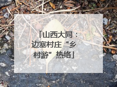 山西大同：边塞村庄“乡村游”热络