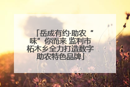 岳成有约·助农“味”你而来 监利市柘木乡全力打造数字助农特色品牌