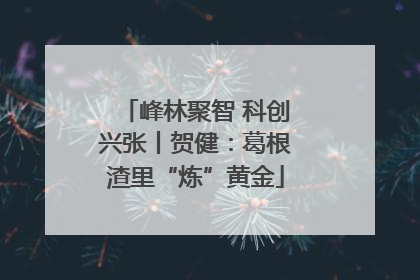 峰林聚智 科创兴张丨贺健：葛根渣里“炼”黄金