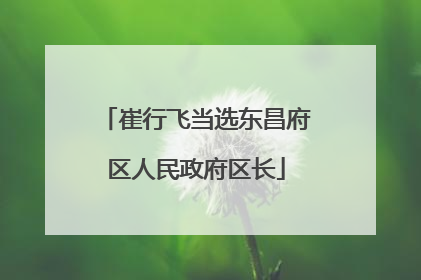 崔行飞当选东昌府区人民政府区长