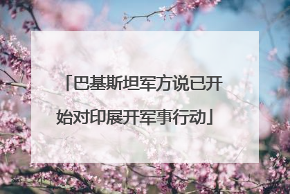 巴基斯坦军方说已开始对印展开军事行动
