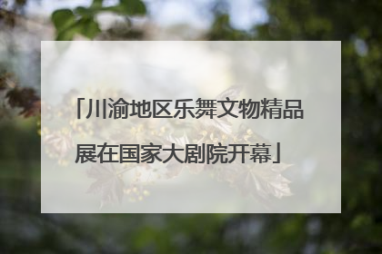 川渝地区乐舞文物精品展在国家大剧院开幕