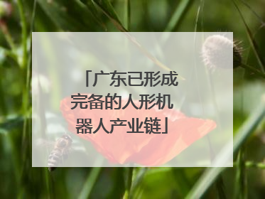 广东已形成完备的人形机器人产业链