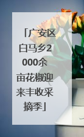广安区白马乡2000余亩花椒迎来丰收采摘季