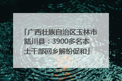 广西壮族自治区玉林市陆川县：3900多名本土干部回乡解纷促和