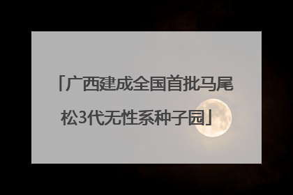 广西建成全国首批马尾松3代无性系种子园
