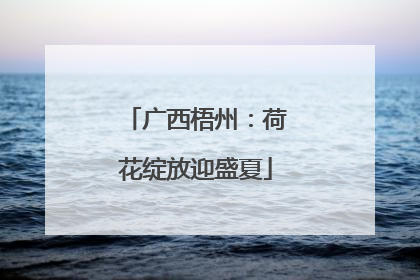 广西梧州：荷花绽放迎盛夏