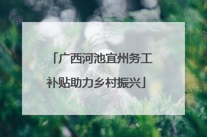 广西河池宜州务工补贴助力乡村振兴