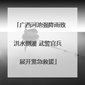 广西河池强降雨致洪水倒灌 武警官兵展开紧急救援