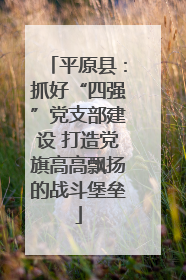 平原县：抓好“四强”党支部建设 打造党旗高高飘扬的战斗堡垒
