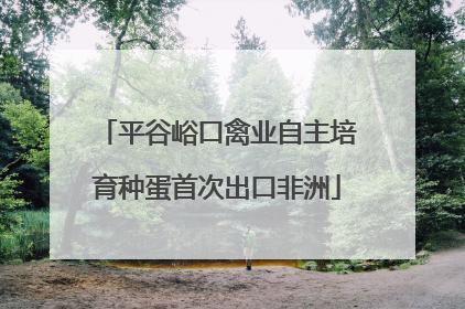 平谷峪口禽业自主培育种蛋首次出口非洲