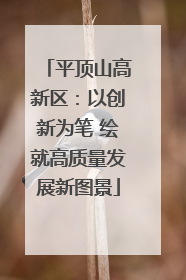 平顶山高新区：以创新为笔 绘就高质量发展新图景