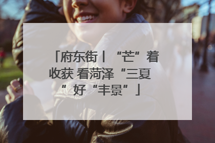 府东街丨“芒”着收获 看菏泽“三夏”好“丰景”