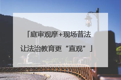 庭审观摩+现场普法 让法治教育更“直观”