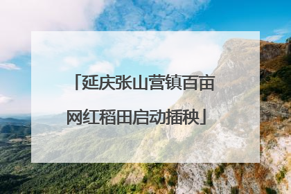 延庆张山营镇百亩网红稻田启动插秧