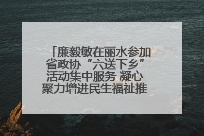 廉毅敏在丽水参加省政协“六送下乡”活动集中服务 凝心聚力增进民生福祉推进共同富裕