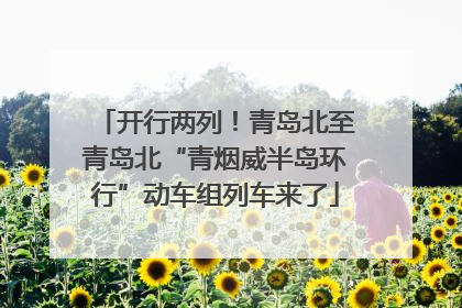 开行两列！青岛北至青岛北“青烟威半岛环行”动车组列车来了