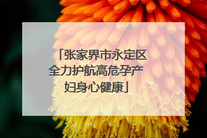 张家界市永定区全力护航高危孕产妇身心健康