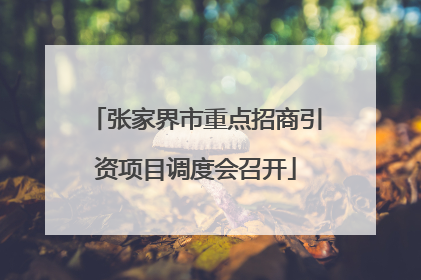 张家界市重点招商引资项目调度会召开