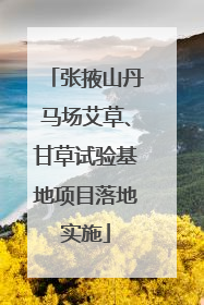 张掖山丹马场艾草、甘草试验基地项目落地实施