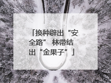 换种辟出“安全路” 林带结出“金果子”