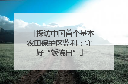 探访中国首个基本农田保护区监利：守好“饭碗田”