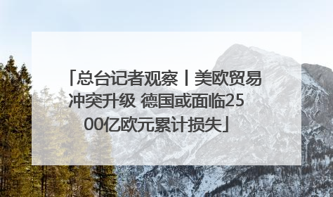 总台记者观察丨美欧贸易冲突升级 德国或面临2500亿欧元累计损失
