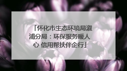 怀化市生态环境局溆浦分局：环保服务暖人心 信用帮扶伴企行