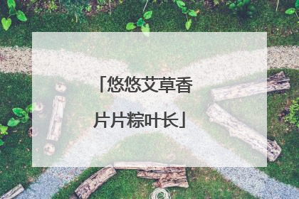 悠悠艾草香 片片粽叶长