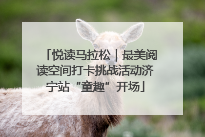 悦读马拉松｜最美阅读空间打卡挑战活动济宁站“童趣”开场