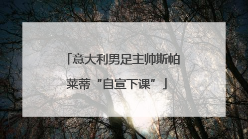 意大利男足主帅斯帕莱蒂“自宣下课”