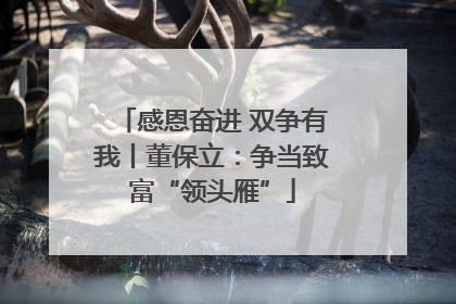 感恩奋进 双争有我丨董保立：争当致富“领头雁”