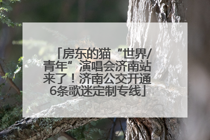 房东的猫“世界/青年”演唱会济南站来了！济南公交开通6条歌迷定制专线