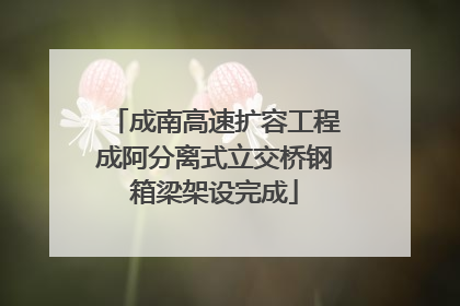 成南高速扩容工程成阿分离式立交桥钢箱梁架设完成
