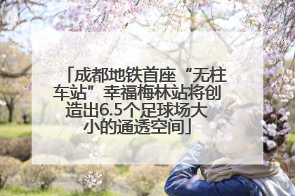 成都地铁首座“无柱车站”幸福梅林站将创造出6.5个足球场大小的通透空间