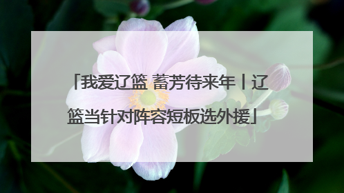 我爱辽篮 蓄芳待来年丨辽篮当针对阵容短板选外援