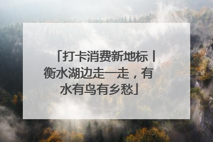 打卡消费新地标丨衡水湖边走一走，有水有鸟有乡愁