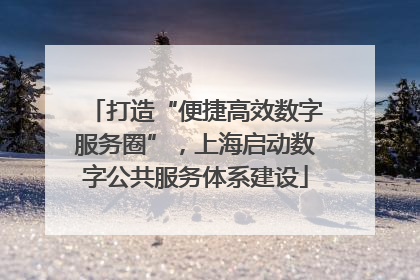 打造“便捷高效数字服务圈”，上海启动数字公共服务体系建设