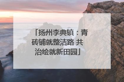 扬州李典镇：青砖铺就整洁路 共治绘就新田园
