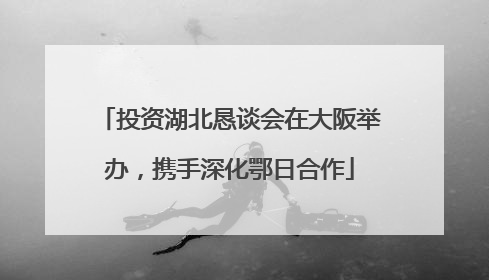 投资湖北恳谈会在大阪举办，携手深化鄂日合作