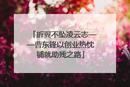 折翼不坠凌云志——曹东锋以创业热忱铺就助残之路