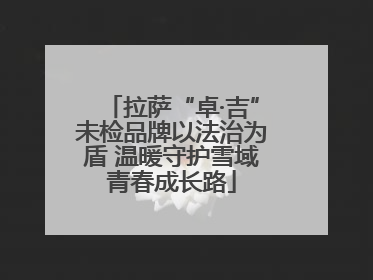 拉萨“卓·吉”未检品牌以法治为盾 温暖守护雪域青春成长路