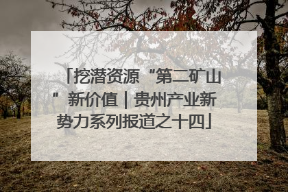 挖潜资源“第二矿山”新价值｜贵州产业新势力系列报道之十四